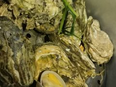 -土蚝·高压锅生蚝(百姓美食街店)