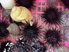 -众味海鲜大排档·活海鲜·潮汕味(南澳店)