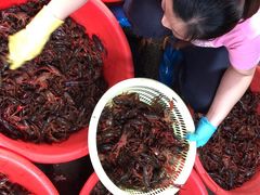 -树木岭集贸市场(劳动东路)