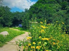 -玉渡山自然风景区