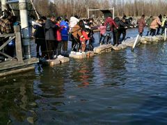 -溱湖国家湿地公园