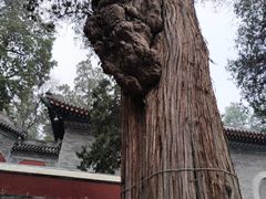 -香山公园