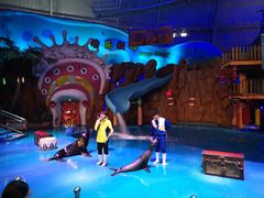 -烟台海昌鲸鲨海洋公园