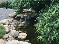 -活水公园