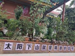 -西双版纳原始森林公园