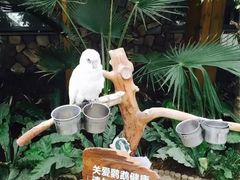-世界地热博览园