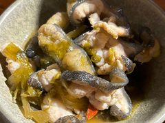 -印象鲵宴·张家界地标美食名片(溪布街店)