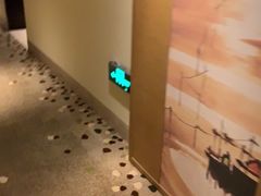 -上海崇明金茂凯悦酒店