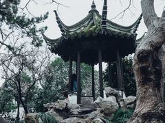 -留园