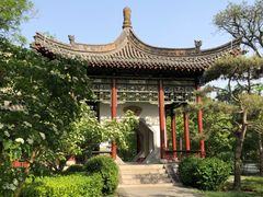 -迎泽公园