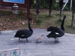 -渝湘厨(古美店)