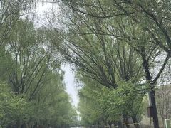 -同里国家湿地公园