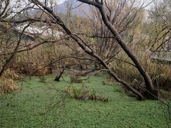 -西湖风景区-江洋畈生态公园