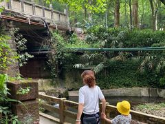 -峨眉山报国寺