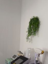 -Young Boy·男士SPA脱毛皮肤管理中心