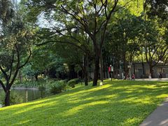-晓港公园