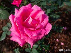 -人民公园(罗湖区)