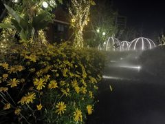 -悦见花开·花园里的火锅·露营·下午茶