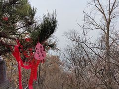 -终南山南五台景区