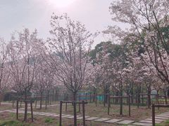 -同济大学（四平路校区）-图书馆