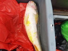 -江杨农产品批发市场