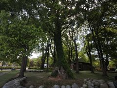 -上海月湖雕塑公园