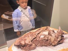 -世界恐龙谷景区