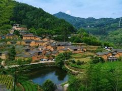 -杨家堂村