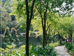 -广州白江湖森林公园