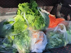 -庞各庄翠芳园西瓜蔬菜基地采摘园