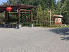 -大兴滨河森林公园