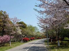 -尚贤河湿地