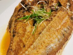 石斑鱼-衡山汇·高级粤菜(霄云路店)