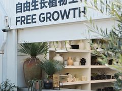 -自由生长植物工作室(深港花卉中心店)
