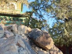 -回龙观体育文化公园