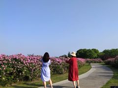 -尚贤河湿地