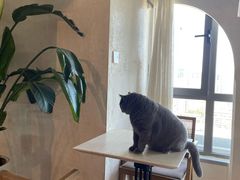 -Me Coffee下午茶艺术空间