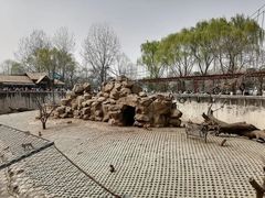 -西安秦岭野生动物园