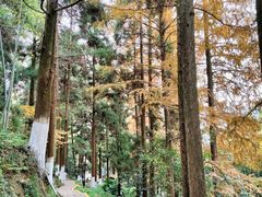 -莫干山风景区