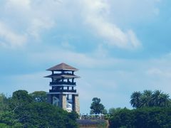 -大湾区中央湿地公园