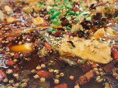 来凤鱼-瓦房兔(璧山店)