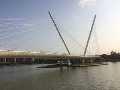 -映月湖中央公园