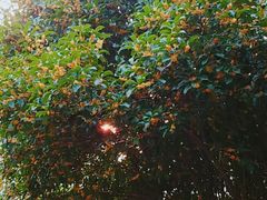 -河海大学(常州校区)