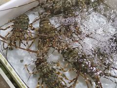 -十四涌水产中心
