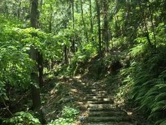 -素山寺森林公园