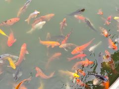 -春晖园度假酒店温泉