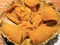 海胆-桂马·日本料理·海胆·海鲜饭·酒场(民主广场店)