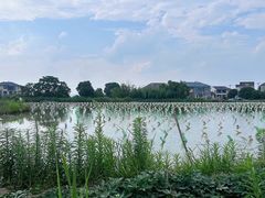 -玲燕蒸菜馆(江东路店)