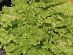 -虎丸烧肉(新大陆广场店)