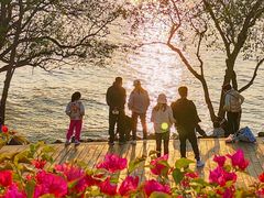 -宝安西湾红树林湿地公园